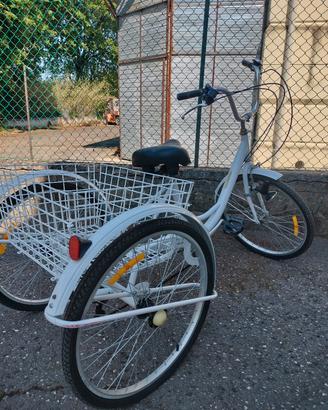 bici a tre ruote