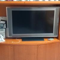 TV Sony 43 pollici 