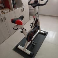 Cyclette Professionale da Camera