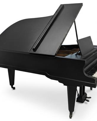 Pianoforte bluthner 3/4 coda