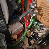 Bicicletta Bianchina