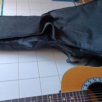 Chitarra acustica Arrow