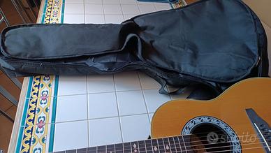 Chitarra acustica Arrow