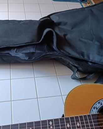 Chitarra acustica Arrow