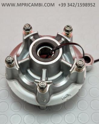 MOZZO POSTERIORE TRIUMPH TIGER 955 2002 2006 955i