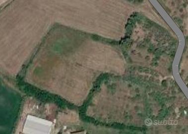 Terreno  agricolo