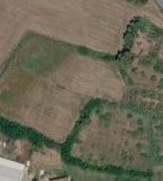 Terreno  agricolo