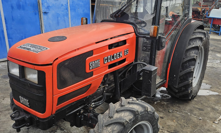 Same Golden 65 Cavalli