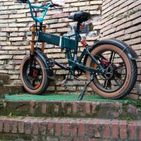 Fiido M1 Pro Bici Elettrica Ruote Grosse Fat Bike