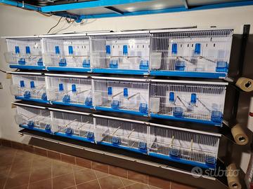 Batteria da gabbie 12*58