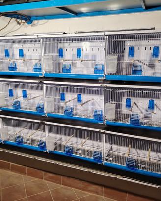 Batteria da gabbie 12*58