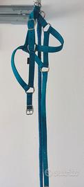 Capezza con longhina nubuck blu cavallo
