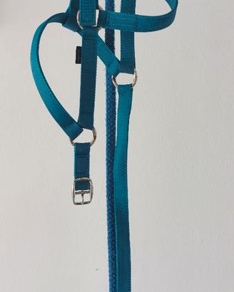 Capezza con longhina nubuck blu cavallo