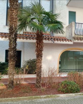Negozio fronte via pedonale- El Palmar pzza Torino