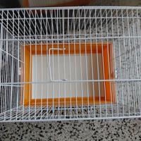 Gabbia per uccellini