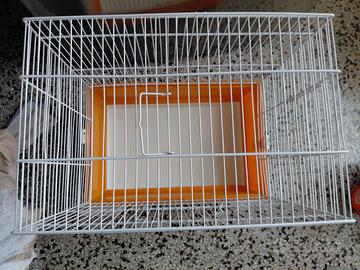 Gabbia per uccellini