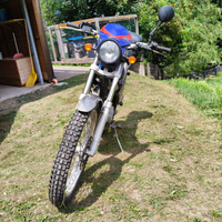 Beta alp 200