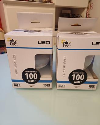 Lampadina globo led x2 