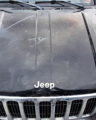 JEEP CHEROKEE SPORT 2010 - COFANO ANTERIORE