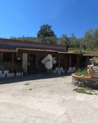 VILLA SINGOLA A POGGIO NATIVO