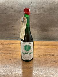 Trebbiano di Romagna 1981 - solo da Collezione