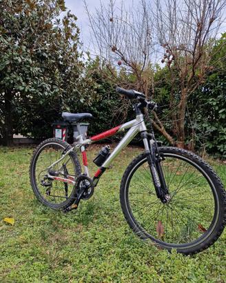 Mountain Bike MTB 26" Hornet +Accessori
