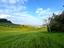 Immagine 29