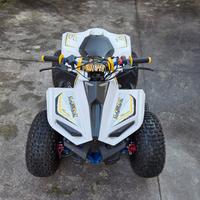 QUAD LEM 110CC 4T