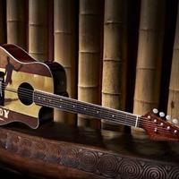 Chitarra acustica Fender Sonoran da collezione 