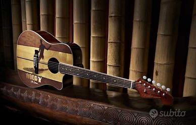 Chitarra acustica Fender Sonoran da collezione 