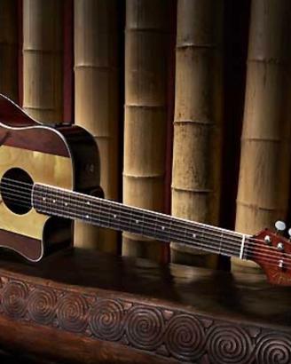 Chitarra acustica Fender Sonoran da collezione 