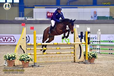 Cavalla salto ostacoli 1 grado
