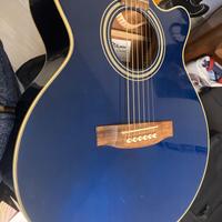 Takamine G series