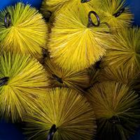 spazzole filtro laghetto n.15