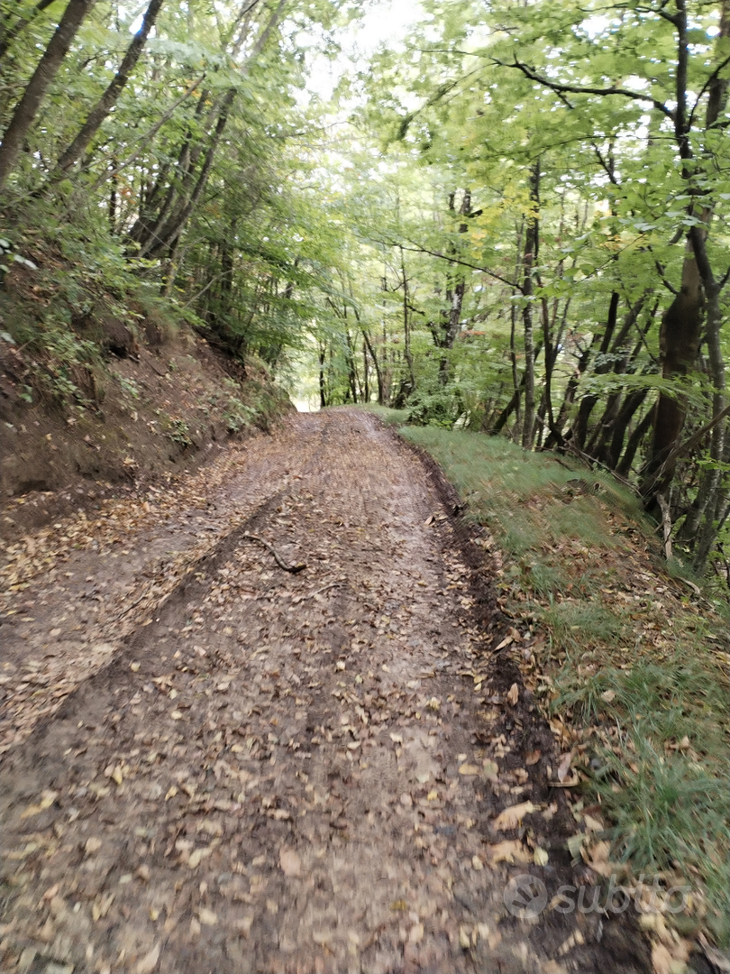 Terreno con antico metato - Vista 3