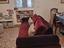 Immagine 3