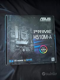 scheda madre asus
