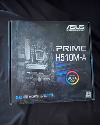 scheda madre asus