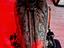Immagine 13
