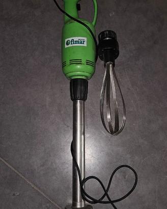 Mixer ad immersione professionale