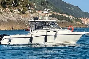 Boston Whaler 305 Conquest