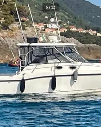 Boston Whaler 305 Conquest