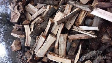 Legna sarda