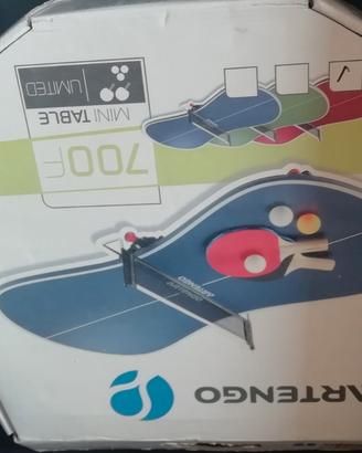 Mini ping pong da tavolo