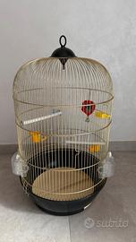 Gabbia per uccelli nuova , accessori inclusi