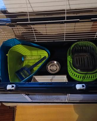 Accessori per coniglietti