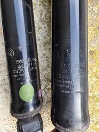 Ammortizzatori Posteriori FIAT Ducato