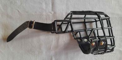 Museruola Pitbull femmina GAPPAY