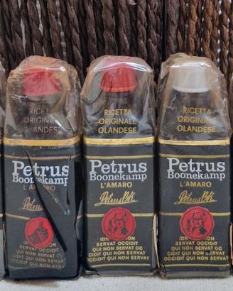 Mignon Petrus