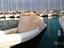 Immagine 6